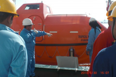 WORKING-3